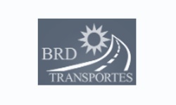 Consultoria empresarial antifrágil: metodologia exclusiva com base em neurociência e antifragilidade para decisores que transformam adversidade em vantagem competitiva.