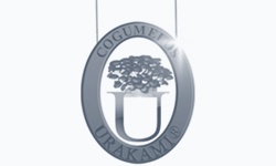 Consultoria empresarial antifrágil: metodologia exclusiva com base em neurociência e antifragilidade para decisores que transformam adversidade em vantagem competitiva.