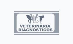 Consultoria empresarial antifrágil: metodologia exclusiva com base em neurociência e antifragilidade para decisores que transformam adversidade em vantagem competitiva.